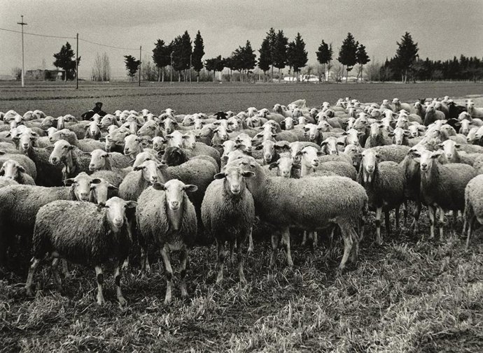 La Diputación de Huesca recupera la historia de los colonos en una exposición ubicada en un espacio móvil