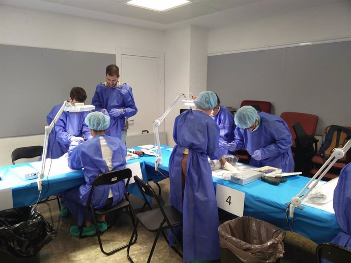 Málaga.-Cirugía Ortopédica y Traumatología del Costa del Sol organiza un curso nacional sobre abordajes quirúrgicos