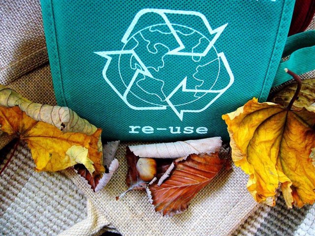 17 De Mayo: Día Internacional Del Reciclaje, ¿Se Recicla Bien En Iberoamérica?