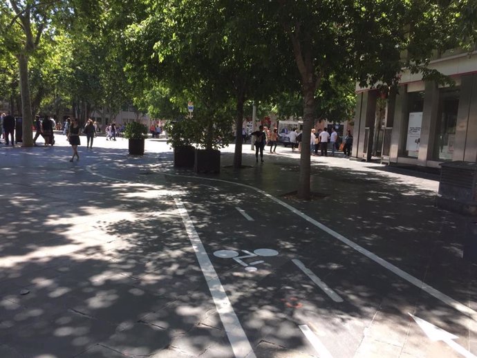 Cort finaliza las tareas de mejora del tramo de carril bici de Plaza España