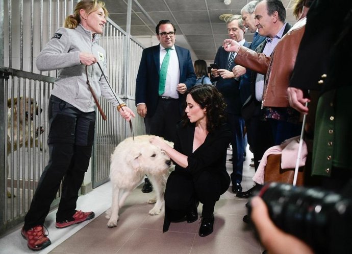 26M.- Ayuso Defenderá En El Debate De Telemadrid Sus "Propuestas" Y Tiene Prácticamente Decidido Que No Irá Al De Prisa