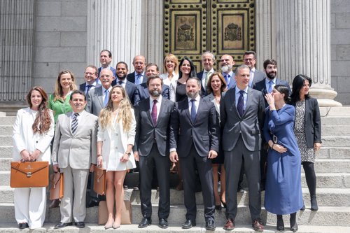 Los 24 diputados de Vox se fotografían en la escalinata principal del Congreso