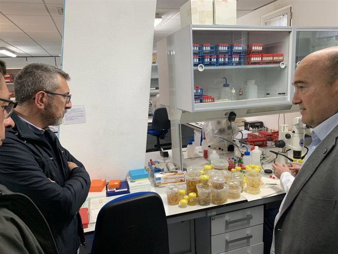 26M-M.- Gijón.- Ciudadanos Propone Crear Un Cluster Vinculado Al Mar Para Potenciar Industrias Y Actividades Marítimas