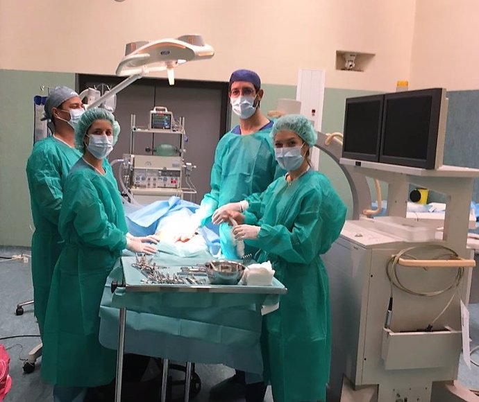 Granada.- Cirujanos vasculares se forman en técnicas endovasculares periféricas en el Hospital San Cecilio
