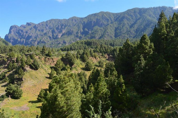 El Cabildo de La Palma destinará 4 millones de euros a la protección y mejora del medio ambiente