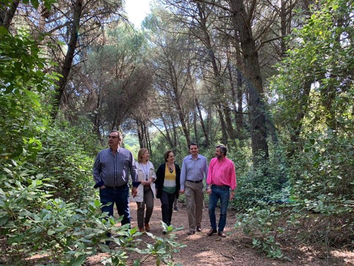 Córdoba.- 26M.- Bellido anuncia el "impulso" del Plan de la Sierra tras "cuatro años guardado en el cajón"