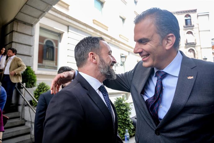 Los 24 diputados de Vox se fotografían en la escalinata principal del Congreso