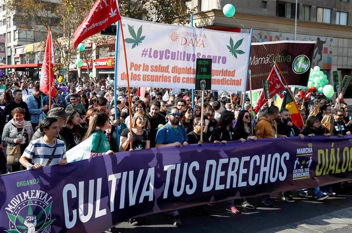 Chile.- Cientos de chilenos salen a las calles para exigir un mayor avance en la despenalización de la marihuana