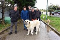 El PSOE promete el 'sacrificio cero' animal la próxima legislatura en Cantabria