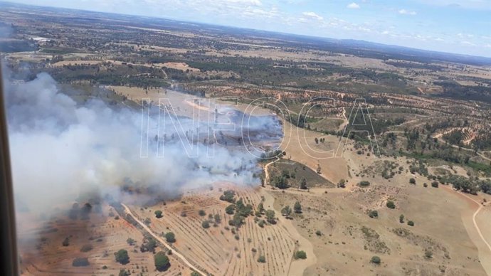 Huelva.- Sucesos.- Estabilizado un incendio declarado en Beas, en el paraje Dehesa Pan y Ajo