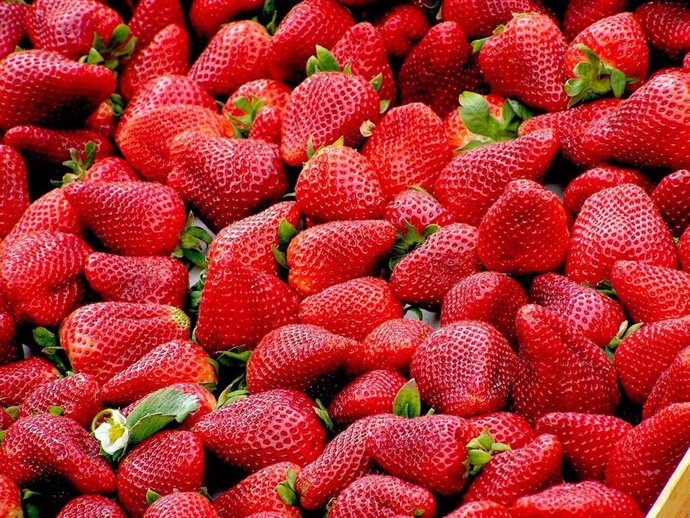 20 De Mayo: Día Internacional De Las Fresas, ¿Qué Propiedades Tiene Esta Fruta Para La Salud?