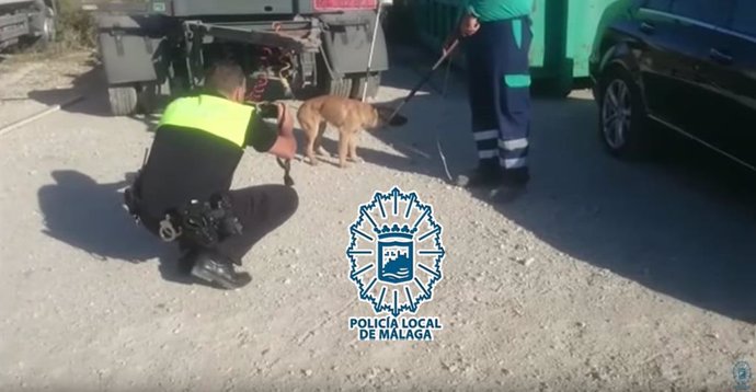 Málaga.- Sucesos.- Capturado uno de los cinco perros que atacaron a un hombre en un polígono de Málaga