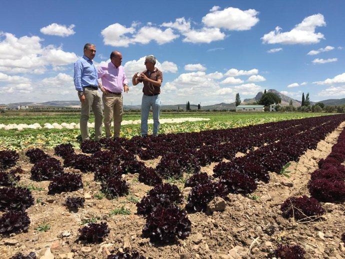 Málaga.- 26M.- El PP de Málaga se plantea el reto de fijar la población en los pequeños municipios