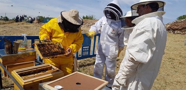 Leganés.-26M.- Teresa Ribera visita el apiario municipal, que cataloga de "ejemplo para la biodiversidad"