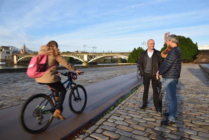 Carril bici en el Paseo Marqués del Contadero de Sevilla