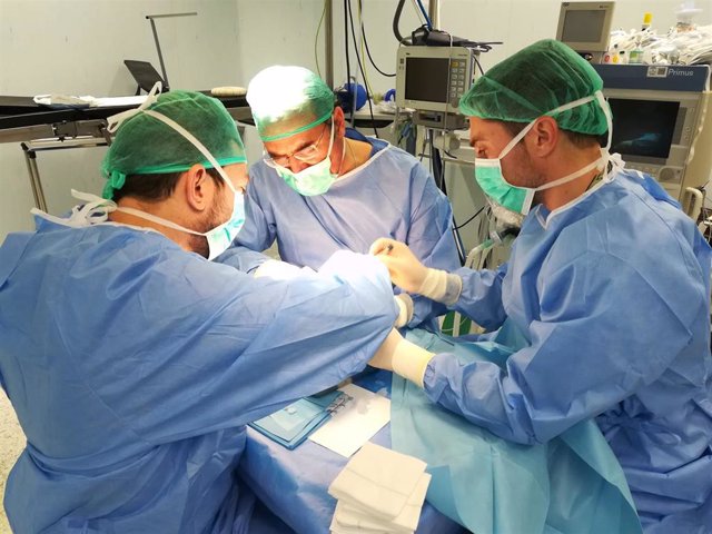 Almería.-El Hospital de Poniente registra cinco donantes de órganos y tejidos en los cuatro primeros meses del año