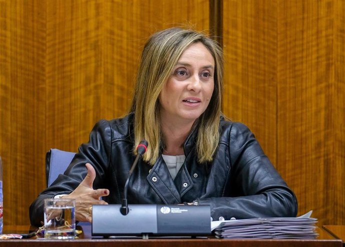 El Consejo de Gobierno instará este martes a Fomento a impulsar una nueva Ley de Urbanismo para Andalucía