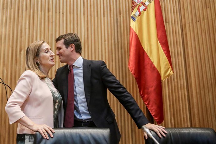 El presidente nacional del Partido Popular, Pablo Casado, preside la reunión de los grupos parlamentarios del Congreso y del Senado, en la Cámara baja
