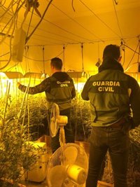 Ocho detenidos al desmantelar siete plantaciones de marihuana en Lopera (Jaén)