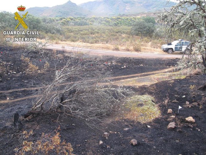 Sucesos.- Detenidas e investigadas seis personas por provocar incendios forestales en Ciudad Real en lo que va de año
