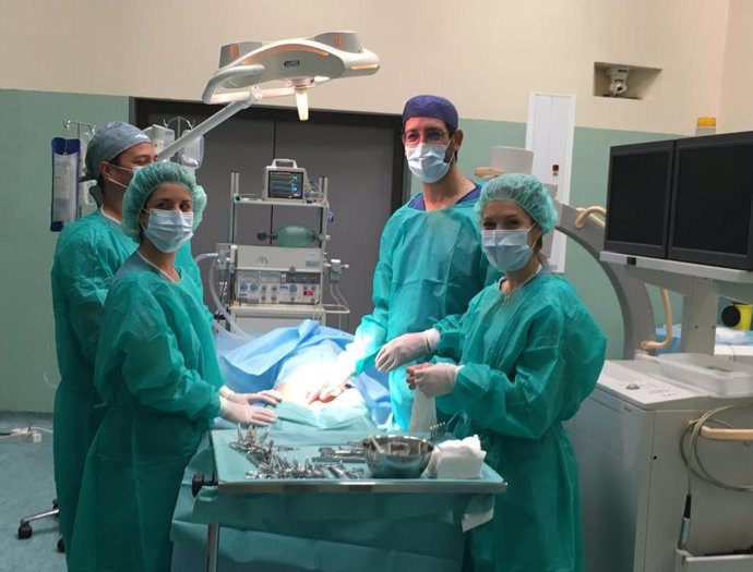 Sevilla.- El Valme codirige la formación nacional en técnicas avanzadas de embolización para cirujanos vasculares