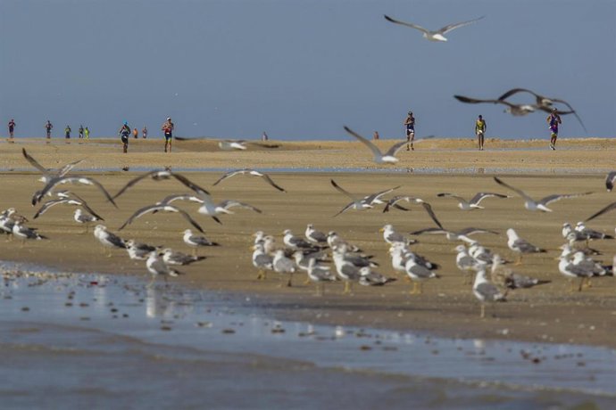 Educacación.- La Junta abre la inscripción para participar en la décima edición del Desafío Doñana