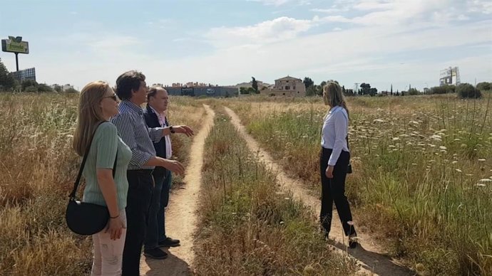 26M.- Isern Promet Incorporar 90.000 M2 De Ca Angelí Al Parc De Sa Rigués Si Governa Després del 26 De Maig