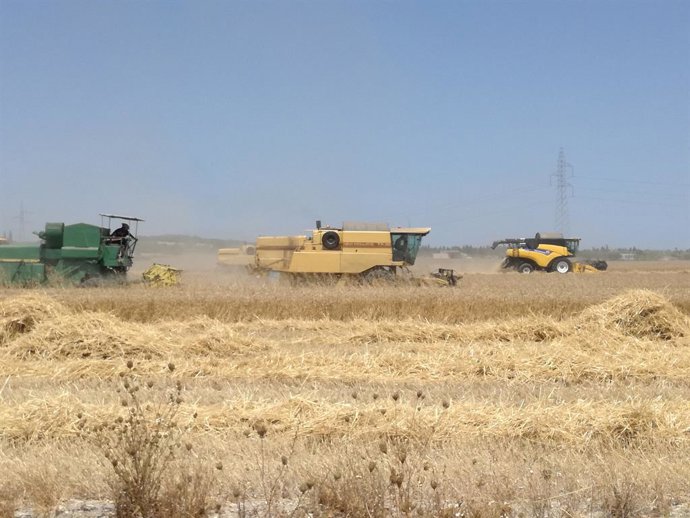 Uns 900 agricultores de les Illes reben 2 milions d'euros com a compensació per la insularitat