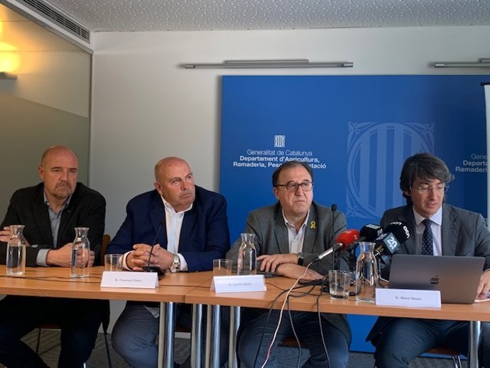 Agro.- La superficie de melocotonero baja por primera vez en Catalunya