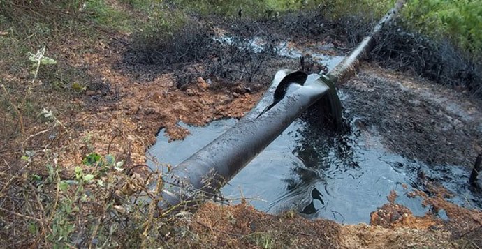 Ecopetrol denuncia un nuevo atentado contra el oleoducto Trasandino en Colombia, el séptimo en lo que va de año