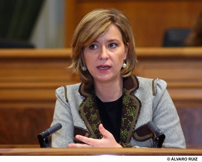 María Llanos Castellanos, PSOE