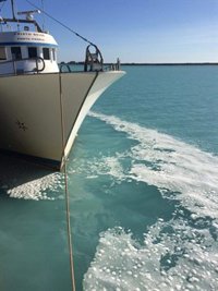 Greenpeace y Mesa de la Ría de Huelva avisan del vertido de 4 millones de metros cúbicos de aguas tóxicas por Fertiberia