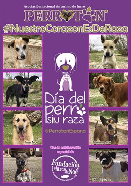 Perrotón lanza una campaña para promover los perros sin raza, más resistentes a enfermedades