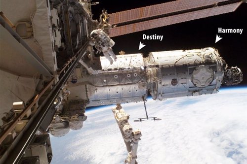 Un complejo ecosistema bacteriano se aloja en la Estación Espacial
