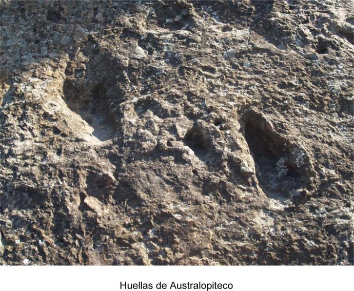 Málaga.-La Fundación Madeca financiará trabajos de investigación en un yacimiento de huellas fósiles localizado en Álora