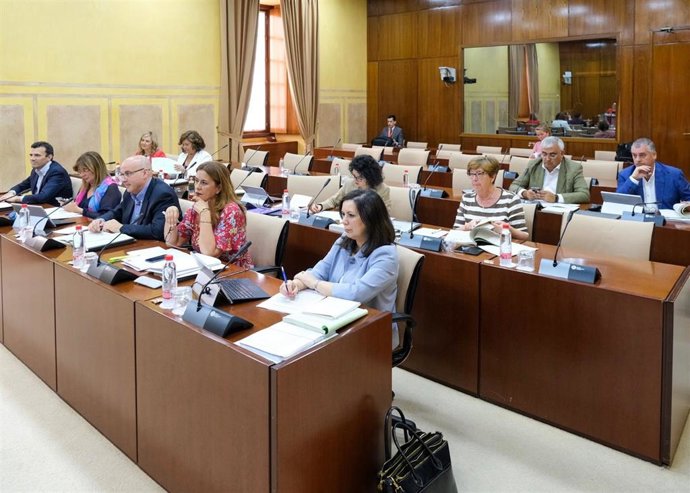 Junta se reunirá con las ELAS para atender sus demandas y PSOE-A pide una regulación "que garantice su supervivencia"