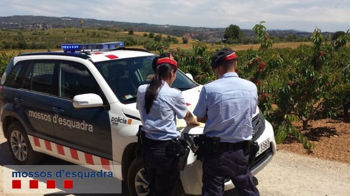 Patrulla de Mossos en el campo