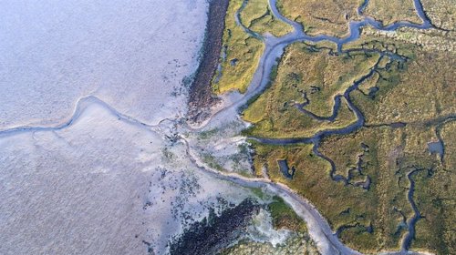 Nueva fuente de energía renovable en los estuarios de los ríos