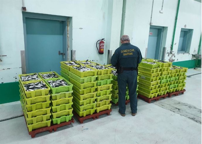 Pesca.- Intervenidos más de 2.000 kilos de sardina en Carballo sin el etiquetado que garantice su trazabilidad