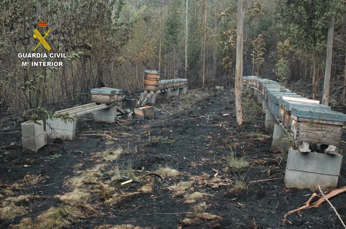 Sucesos.- Investigado un apicultor, vecino de Tineo, por el incendio de Sierra Sollera