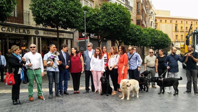 Salud apoya la labor de los perros de asistencia