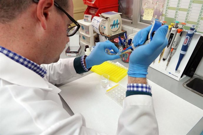 Málaga.- Investigadores de la UMA identifican una nueva diana terapéutica para la depresión