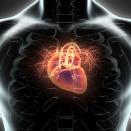 Identifican qué aplicaciones de radiofrecuencia son seguras para la ablación desde la raíz de grandes vasos cardiacos