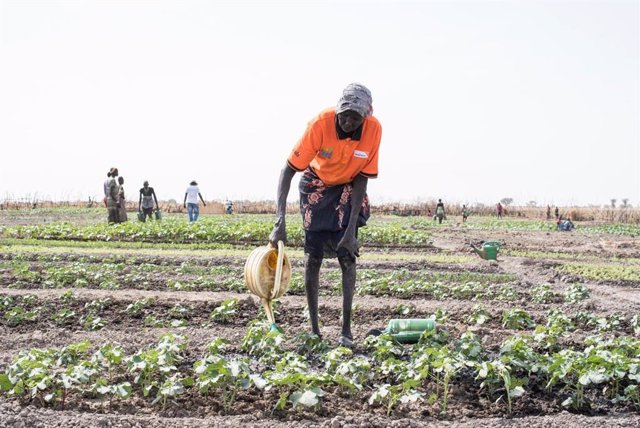 Innovaciones agrícolas para atajar el hambre en Sudán del Sur