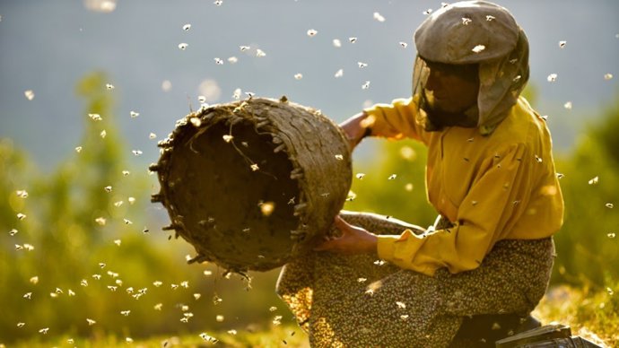 'Honeyland' Gana El Premio Docsbarcelona 2019 Al Mejor Documental