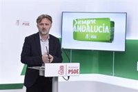 PSOE-A llama a la "responsabilidad" a Cs: "Queda mucha tela que cortar" en los ayuntamientos