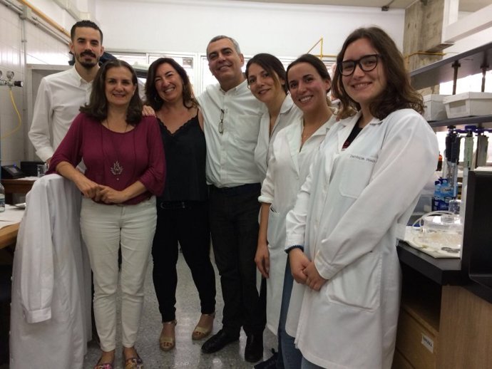 Científicos de la US y la UCA ensayan un fármaco que activa la recuperación neuronal tras una lesión cerebral