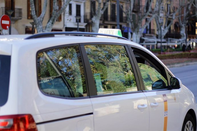 Els titulars de les 1.246 llicncies de taxi de Palma voten sobre l'uniforme obligatori i una 'app' per al sector