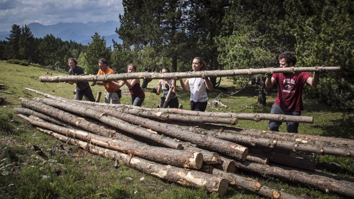 Mig miler de voluntaris milloraran la conservació dels boscos del Pirineu aquest estiu