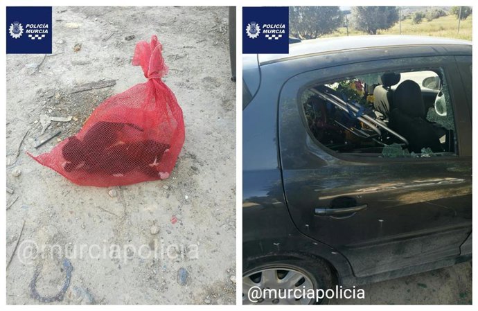 Sucesos.- La Policía Local de Murcia rescata a dos gatos encerrados en una malla y abandonados dentro de un coche